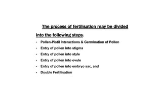 The process of fertilisation may be divided
into the following steps:
• Pollen-Pistil Interactions & Germination of Pollen
• Entry of pollen into stigma
• Entry of pollen into style
• Entry of pollen into ovule
• Entry of pollen into embryo sac, and
• Double Fertilisation
 