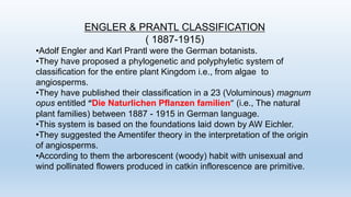 ENGLER & PRANTL CLASSIFICATION
( 1887-1915)
•Adolf Engler and Karl Prantl were the German botanists.
•They have proposed a phylogenetic and polyphyletic system of
classification for the entire plant Kingdom i.e., from algae to
angiosperms.
•They have published their classification in a 23 (Voluminous) magnum
opus entitled “Die Naturlichen Pflanzen familien” (i.e., The natural
plant families) between 1887 - 1915 in German language.
•This system is based on the foundations laid down by AW Eichler.
•They suggested the Amentifer theory in the interpretation of the origin
of angiosperms.
•According to them the arborescent (woody) habit with unisexual and
wind pollinated flowers produced in catkin inflorescence are primitive.
 