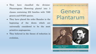  They have classified the division-
Phanerogams (flowering plants) into 3
classes containing 202 families with 7569
genera and 97205 species.
 They have placed the order Ranales in the
beginning of the dicots which are
universally considered to be the most
primitive angiosperms.
 They believed in the theory of reduction in
evolution.
 