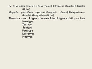 Ex: Rosa indica (Species)Rosa (Genus)Rosaceae (Family) Rosales
(Order)
Magnolia grandiflora (species)Magnolia (Genus)Magnoliaceae
(Family)Magnoliales (Order)
There are several types of nomenclatural types existing such as
Holotype
Isotype
Syntype
Paratype
Lectotype
Neotype
 