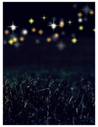 St. Jude Children’s Research Hospital IMC Campaign Proposal © firefly communications CONFIDENTIAL 11
 