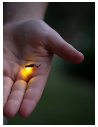 St. Jude Children’s Research Hospital IMC Campaign Proposal © firefly communications CONFIDENTIAL 21
 