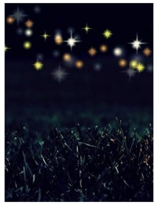 St. Jude Children’s Research Hospital IMC Campaign Proposal © firefly communications CONFIDENTIAL 29
 