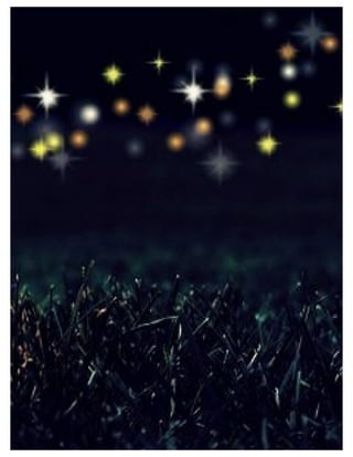 St. Jude Children’s Research Hospital IMC Campaign Proposal © firefly communications CONFIDENTIAL 32
 