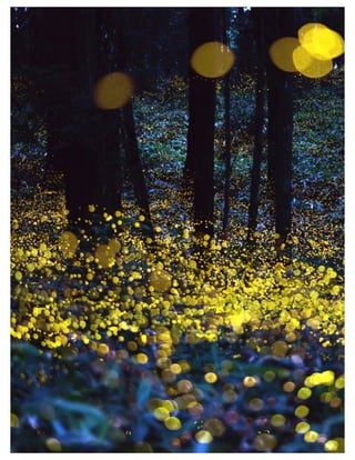 St. Jude Children’s Research Hospital IMC Campaign Proposal © firefly communications CONFIDENTIAL 39
 