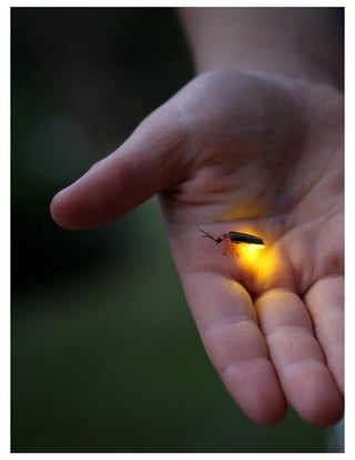 St. Jude Children’s Research Hospital IMC Campaign Proposal © firefly communications CONFIDENTIAL 41
 