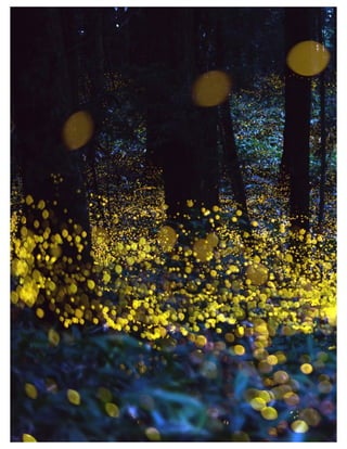 St. Jude Children’s Research Hospital IMC Campaign Proposal © firefly communications CONFIDENTIAL 83
 