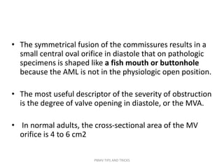 • The symmetrical fusion of the commissures results in a
small central oval orifice in diastole that on pathologic
specimens is shaped like a fish mouth or buttonhole
because the AML is not in the physiologic open position.
• The most useful descriptor of the severity of obstruction
is the degree of valve opening in diastole, or the MVA.
• In normal adults, the cross-sectional area of the MV
orifice is 4 to 6 cm2
PBMV TIPS AND TRICKS
 