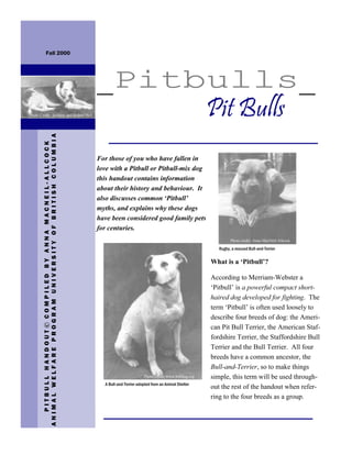 Fall 2000




                                                                _Pitbulls
                                                                 Pitbulls_
                                                                 Pitbulls
Photo Credit: Soldiers and Sailors Hall                              Pit Bulls
        ANIMAL WELFARE PROGRAM UNIVERSITY OF BRITISH COLUMBIA
           PITBULL HANDOUT© COMPILED BY ANNA MACNEIL-ALLCOCK




                                                                For those of you who have fallen in
                                                                love with a Pitbull or Pitbull-mix dog
                                                                this handout contains information
                                                                about their history and behaviour. It
                                                                also discusses common ‘Pitbull’
                                                                myths, and explains why these dogs
                                                                have been considered good family pets
                                                                for centuries.
                                                                                                                                 Photo credit: Anna MacNeil-Allcock

                                                                                                                           Rugby, a rescued Bull-and-Terrier

                                                                                                                        What is a ‘Pitbull’?

                                                                                                                        According to Merriam-Webster a
                                                                                                                        ‘Pitbull’ is a powerful compact short-
                                                                                                                        haired dog developed for fighting. The
                                                                                                                        term ‘Pitbull’ is often used loosely to
                                                                                                                        describe four breeds of dog: the Ameri-
                                                                                                                        can Pit Bull Terrier, the American Staf-
                                                                                                                        fordshire Terrier, the Staffordshire Bull
                                                                                                                        Terrier and the Bull Terrier. All four
                                                                                                                        breeds have a common ancestor, the
                                                                                                                        Bull-and-Terrier, so to make things
                                                                                        Photo credit: www.bulldog.org   simple, this term will be used through-
                                                                  A Bull-and-Terrier adopted from an Animal Shelter
                                                                                                                        out the rest of the handout when refer-
                                                                                                                        ring to the four breeds as a group.
 