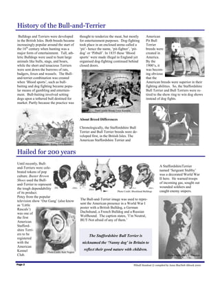History of the Bull-and-Terrier
 Bulldogs and Terriers were developed               thought to tenderize the meat, but mostly                American
in the British Isles. Both breeds became            for entertainment purposes. Dog-fighting                 Pit Bull
increasingly popular around the start of            took place in an enclosed arena called a                 Terrier
the 16th century when hunting was a                 ‘pit’- hence the name, ‘pit-fighter’, ‘pit-              breeds were
major form of entertainment. Tall, ath-             dog’ or ‘Pitbull’. In 1835 these ‘Blood                  created in
letic Bulldogs were used to hunt large              sports’ were made illegal in England yet                 America.
animals like bulls, stags, and boars,               organised dog-fighting continued behind                  By the
while the short and tenacious Terriers              closed doors.                                            1900’s, it
were sent down the burrows of rats,                                                                          was becom-
badgers, foxes and weasels. The Bull-                                                                        ing obvious          Photo credit: Paul Colby
and-terrier combination was created                                                                          that the
when ‘Blood sports’, such as bull-                                                                           American breeds were superior in their
baiting and dog fighting became popu-                                                                        fighting abilities. So, the Staffordshire
lar means of gambling and entertain-                                                                         Bull Terrier and Bull Terriers were re-
ment. Bull-baiting involved setting                                                                          tired to the show ring to win dog shows
dogs upon a tethered bull destined for                                                                       instead of dog fights.
market. Partly because the practice was

                                                              Photo credit: Rising Force Kennels


                                                    About Breed Differences

                                                    Chronologically, the Staffordshire Bull
                                                    Terrier and Bull Terrier breeds were de-
                                                    veloped first, in the British Isles. The
                                                    American Staffordshire Terrier and
                Photo credit: Rising Force Kennel                                                                               Photo Credit: Paul Colby


Hailed for 200 years
Until recently, Bull-
and-Terriers were cele-                                                                                                 A StaffordshireTerrier
brated tokens of pop                                                                                                    named ‘Sergeant Stubby’
culture. Buster Brown                                                                                                   was a decorated World War
Shoes used the Bull-                                                                                                    II hero. He warned troops
and-Terrier to represent                                                                                                of incoming gas, sought out
the tough dependability                                                                                                 wounded soldiers and
of its product.                                                                    Photo Credit: Blockhead Bulldogs     caught enemy snipers.
Petey from the popular
television show ‘Our Gang’ (also know               The Bull-and-Terrier image was used to repre-
as ‘Little                                          sent the American presence in a World War I
Rascals’)                                           poster with a British Bulldog, a German
was one of                                          Dachshund, a French Bulldog and a Russian
the first                                           Wolfhound. The caption states, ’I’m Neutral,
American                                            BUT-Not afraid of any of them.’
Stafford-
shire Terri-
ers to be                                                 The Staffordshire Bull Terrier is
registered
with the                                             nicknamed the ‘Nanny dog’ in Britain to
American
Kennel                                                 reflect their good nature with children.
                      Photo Credit: Keir Negron
Club.                                                                                                                         Photo Credit: Mary E. Thurston


Page 2                                                                                             Pitbull Handout © compiled by Anna MacNeil-Allcock 2000
 