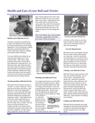 Health and Care of your Bull-and-Terrier
                                                  dogs. On the opposite side of the scale,
                                                  Bull-and-Terriers are also very suscep-
                                                  tible to heat stroke. Although they love
                                                  to be warm and so actively seek out
                                                  sunny spots, they need to be monitored
                                                  carefully on a hot summer day. Keep-
                                                  ing the head and neck area cool is an
                                                  important measure for preventing heat
                                                  stroke.
                                                                                                                            Photo credit: www.bulldog.org
                  Photo credit: www.bulldog.org   Give your shelter dog a few months
                                                  to become comfortable in his/her                           Use a ball as a reward when training your dog.
Health of your Bull-and-Terrier                   new home. Please be patient.
                                                                                                            a hot day or after exercise, your dog
As long as you keep vaccinations up-                                                                        needs to open its mouth wide to pant
to-date, your Bull-and-Terrier should                                                                       and cool off. The basket muzzle is
be relatively problem-free in the health                                                                    most accommodating.
department. Your Veterinarian could be
pleasantly surprised that Bull-and-                                                                            Exercise Requirements
Terriers often take medicine willingly
and needles without flinching.                                                                              Bull-and-Terriers need regular exercise
                                                                                                            but are content to play indoor games
You may find that your dog picks up                                                                         on a rainy day. Once the sun breaks
many cuts and scrapes even on un-                                                                           out, these dogs love to work their mus-
eventful walks. Their short, single                                                                         cles, and a good run-and-jump game is
coated fur does little to protect them                                                                      always an effective form of exercise.
from sharp stick, twigs and rocks. En-                                                                      Bull-and-Terriers love to chase balls
thusiastic antics and a high pain toler-                                                                    but many are more likely to sit down
ance often mean that deep cuts will go                                                                      and chew them than bring them back.
unnoticed until you get home. Keep a
bottle of Hibitane Antibacterial Soap                                                                       Training your Bull-and-Terrier
                                                                    Photo credit: www.bulldog.org
on hand and simply wash any superfi
cial cuts as soon as they are noticed to            Bull-and-Terriers love to chew Kong toys.               Bull-and-Terriers require positive, firm
keep them from becoming infected.                                                                           and very consistent training. Not ex-
                                                  Muzzling your Bull-and-Terrier                            cessive force - just patience and a
                                                                                                            strong will. Search for a personal
Weatherproofing a Bull-and-Terrier                It is a legal requirement to muzzle Bull-                 trainer who has some experience with
                                                  and-Terriers in many locations. Many                      Bull-and-Terriers and uses social re-
Bull-and-Terrier breeds do not grow a             argue that muzzling enhances the nega-                    wards such as play, petting and verbal
‘second’ or ‘winter’ undercoat. This is           tive image of these breeds. If you are                    praise instead of relying mostly on
great news for those who desire a dog             concerned about such laws get active in                   food rewards. Teach your Bull-and-
that doesn’t shed in the Springtime.              the fight against them. Don’t worry-                      Terrier to ignore other dogs on your
However, it also means that they lack             your muzzled dog can defend itself                        walks. Bounce a ball, or jog with your
protection against the elements. They             long enough for you to break up a fight,                  dog to distract him/her from looking at
should be monitored in anything but               if one should oc-                                         other dogs. Praise him/her for looking
temperate weather. Their high muscle-             cur. The best                                             at you instead.
to-fat ratio causes rapid heat loss, so           muzzles for the
they get cold very easily and should              Bull-and-Terrier                                          Feeding your Bull-and-Terrier
never be made to live outside. You will           are the basket-
notice your dog shivering in cool                 type that enclose                                         Bull-and-Terriers generally have high
                                                                       A wire basket muzzle will
weather and may even witness steam                the front of the     allow your dog to drink and          metabolism rates and may benefit from
rising from your dog’s body under cold            muzzle instead of breath freely                           a number of small meals throughout
and moist conditions. For this reason,            the nylon tube                                            the day instead of one or two large
many people buy sweaters for their                that simply holds the mouth closed. On                    meals.
Page 5                                                                                              Pitbull Handout© compiled by Anna MacNeil-Allcock 2000
 