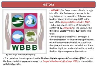 HISTORY
• HISTORY: The Government of India brought
into effect the first comprehensive Indian
Legislation on conservation of the nation’s
biodiversity on 5th February, 2003 in the
form of the Biological Diversity Act, 2002.
• Subsequently, in exercise of the powers
conferred by Section 62 of the said Act, the
Biological Diversity Rules, 2004 came into
force.
• The Biological Diversity Act envisages a
three tier system for implementing the same
with the National Biodiversity Authority at
the apex, each state with its individual State
Biodiversity Board and each local body with a
Biodiversity management Committee.
• The main function designated to the Biodiversity Management Committees (BMC) as per
the Rules pertains to preparation of the People’s Biodiversity Registers (PBR) in consultation
with local people.
Fig: West Bengal Biodiversity Board (India)
 