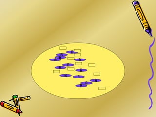 B
B
B
B
B
B
B
B
B
B
B
B
B
 