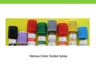 pbs-fields staining-converted
