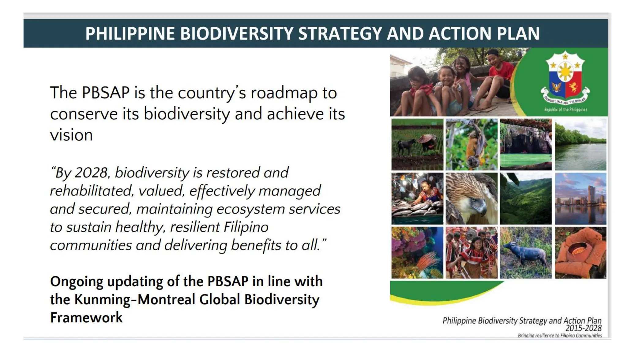 Draft Regional Biodiversity Strategic Action Plan for R2 | PPTX