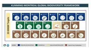 Draft Regional Biodiversity Strategic Action Plan for R2 | PPTX