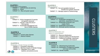 Draft Regional Biodiversity Strategic Action Plan for R2 | PPTX