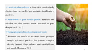 19
5. Use of microbes on leaves to deter aphid colonization by
altering visual cues used in host plant detection (Hendry et
al., 2018).
6. Modification of plant volatile profiles, beneficial root
microbes can also enhance natural biocontrol of pests
(Pangesti et al., 2015).
7. The development of insect pest suppressive soils
 Harnesses the benefits of soil-borne insect pathogens
through agricultural practices that promote ecological
diversity (reduced tillage and crop rotations) (Hokkanen
and MenzlerHokkanen, 2018)
 