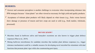22
DEMERITS:
 Grower and consumer perception is another challenge to overcome when incorporating tolerance into
IPM strategies because ‘‘clean plants’’ are often viewed as necessary for high yield and quality products.
 Acceptance of tolerant plant products will likely depend on what tissues (e.g., fruits versus leaves)
show damage or presence of insects and how crops are used or sold (e.g., fresh market, wholesale,
processed)
DO YOU KNOW?
 Microbes found in herbivore saliva and honeydew excretions are also known to trigger plant defence
responses (Wari et al., 2019).
 Mining herbivore microbiomes for candidate microbes that mediate plant defence responses (i.e., trigger
tolerance mechanisms) could be a valuable resource for developing novel microbial bio stimulants with dual
functions that promote plant vigor while also counteracting pest injury.
 
