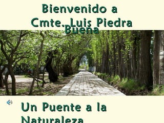 Un Puente a laUn Puente a la
Bienvenido aBienvenido a
Cmte. Luis PiedraCmte. Luis Piedra
BuenaBuena
 