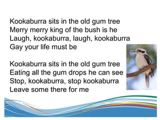 Kookaburra sits in the old gum tree
Merry merry king of the bush is he
Laugh, kookaburra, laugh, kookaburra
Gay your life must be
Kookaburra sits in the old gum tree
Eating all the gum drops he can see
Stop, kookaburra, stop kookaburra
Leave some there for me
 