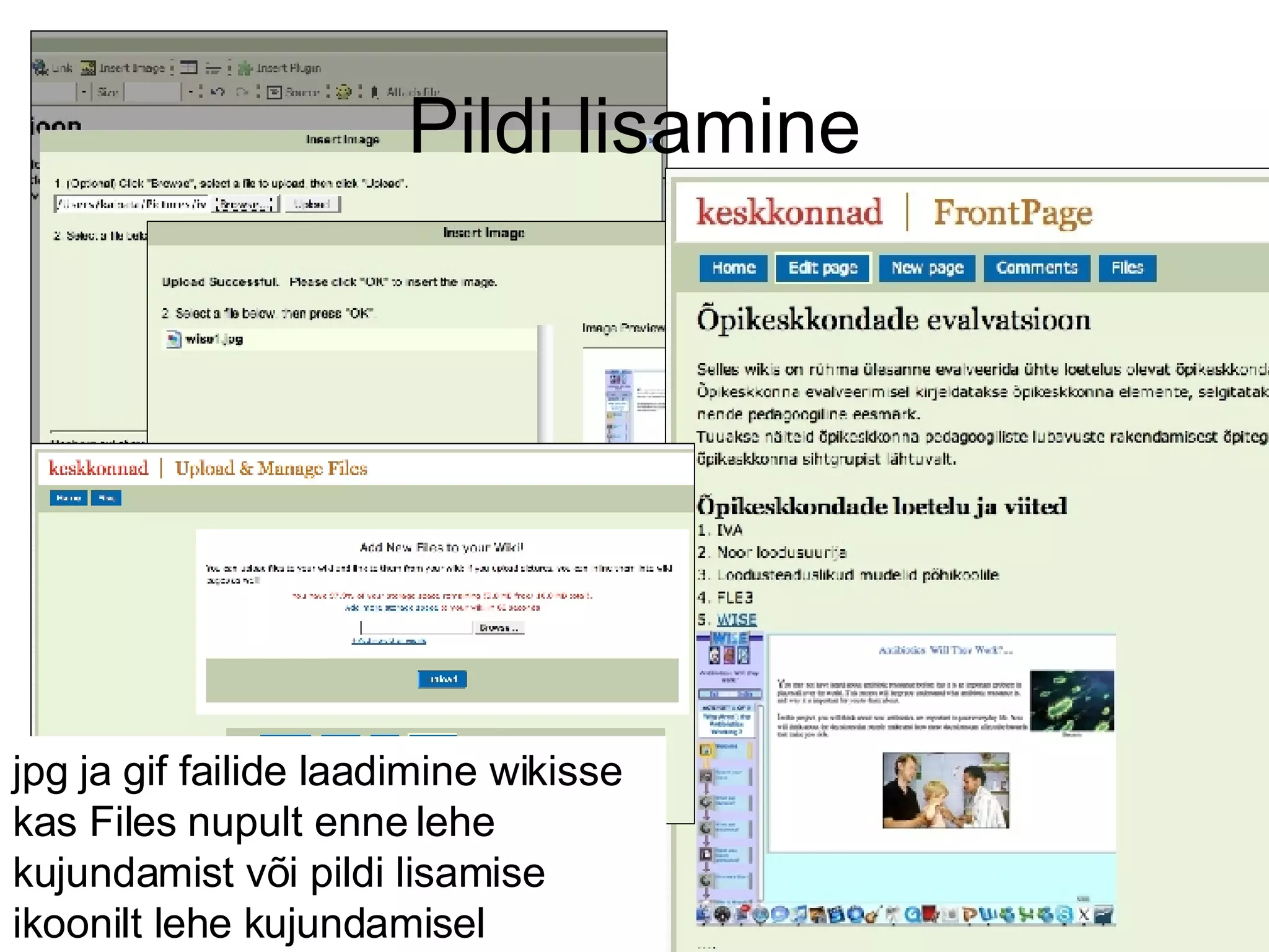 Pildi lisamine jpg ja gif failide laadimine wikisse kas Files nupult enne lehe kujundamist või pildi lisamise ikoonilt lehe kujundamisel 