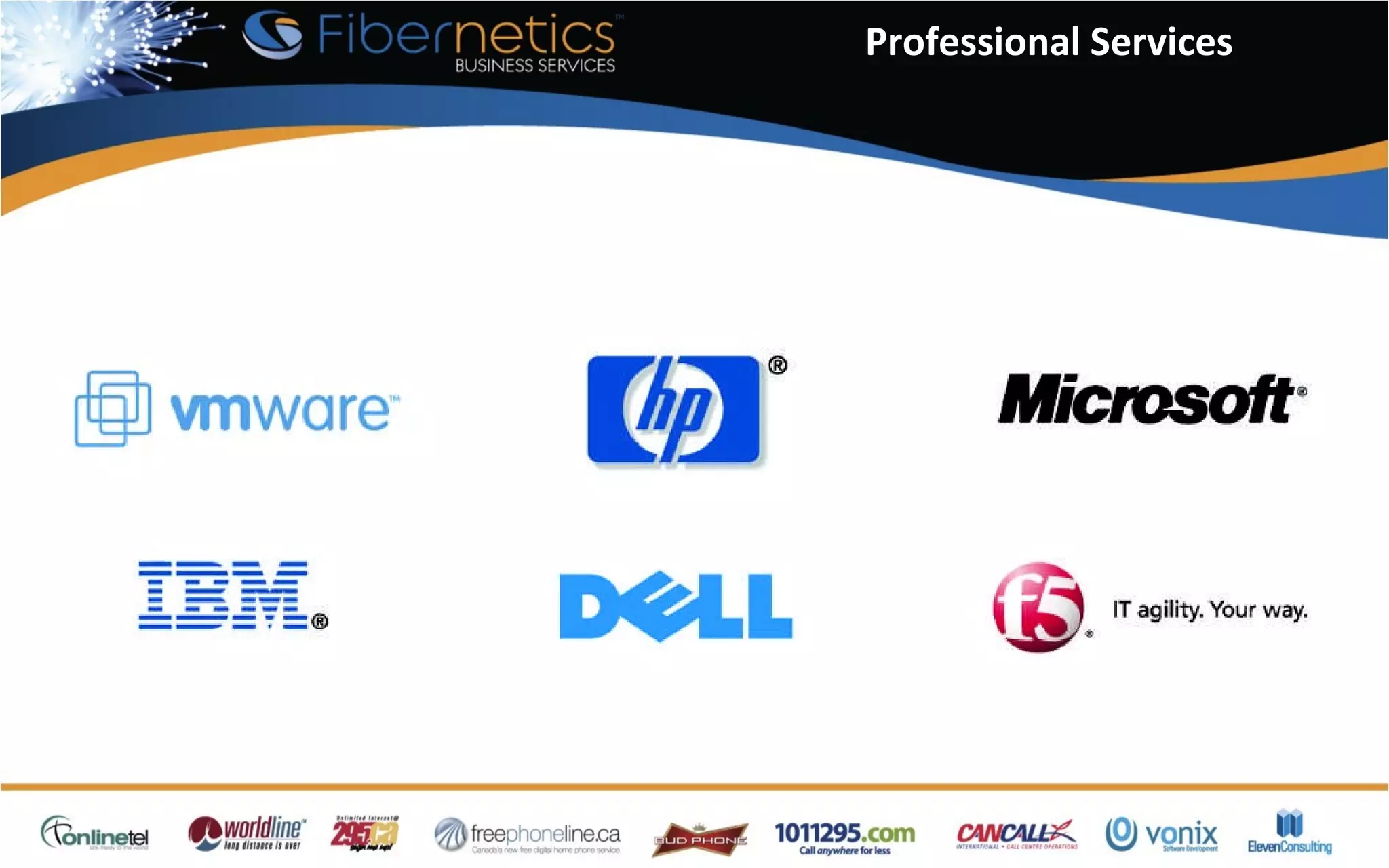 Professional Services 