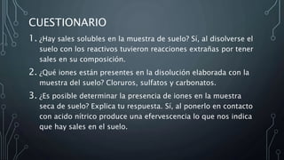 CUESTIONARIO
1. ¿Hay sales solubles en la muestra de suelo? Sí, al disolverse el
suelo con los reactivos tuvieron reacciones extrañas por tener
sales en su composición.
2. ¿Qué iones están presentes en la disolución elaborada con la
muestra del suelo? Cloruros, sulfatos y carbonatos.
3. ¿Es posible determinar la presencia de iones en la muestra
seca de suelo? Explica tu respuesta. Sí, al ponerlo en contacto
con acido nítrico produce una efervescencia lo que nos indica
que hay sales en el suelo.
 