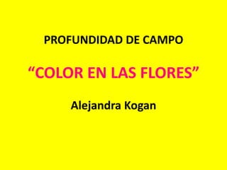 PROFUNDIDAD DE CAMPO

“COLOR EN LAS FLORES”
     Alejandra Kogan
 