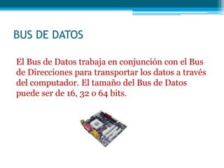 BUS DE DATOS
El Bus de Datos trabaja en conjunción con el Bus
de Direcciones para transportar los datos a través
del computador. El tamaño del Bus de Datos
puede ser de 16, 32 o 64 bits.
 