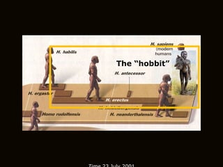 Time  23 July 2001 The “hobbit”  