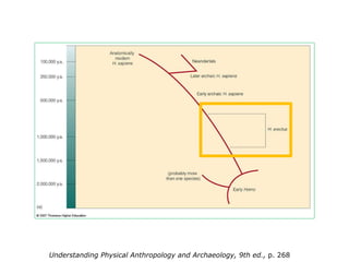 Understanding Physical Anthropology and Archaeology, 9th ed.,  p. 268 
