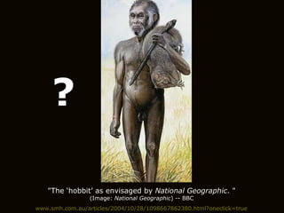 www.smh.com.au/articles/2004/10/28/1098667862380.html?oneclick=true "The ‘hobbit’ as envisaged by  National Geographic . " (Image:  National Geographic ) -- BBC ? 