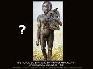 www.smh.com.au/articles/2004/10/28/1098667862380.html?oneclick=true "The ‘hobbit’ as envisaged by  National Geographic . " (Image:  National Geographic ) -- BBC ? 