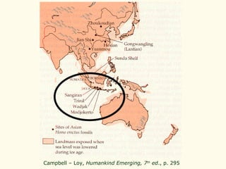 Campbell – Loy,  Humankind Emerging, 7 th  ed ., p. 295   
