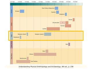 Understanding Physical Anthropology and Archaeology, 9th ed ., p. 238 