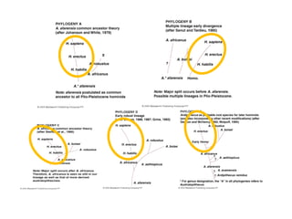 Understanding Physical Anthropology and Archaeology, 8th ed.,  p. 254 