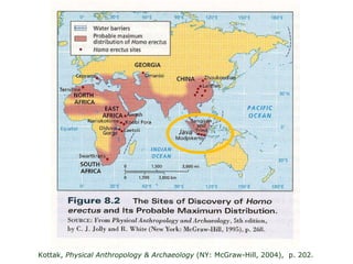 Kottak,  Physical Anthropology & Archaeology  (NY: McGraw-Hill, 2004),   p. 202. 