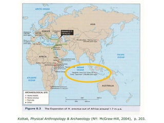 Kottak, Physical Anthropology & Archaeology  (NY: McGraw-Hill, 2004),   p. 203. 