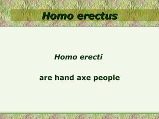 Homo erectus Homo erecti   are hand axe people 