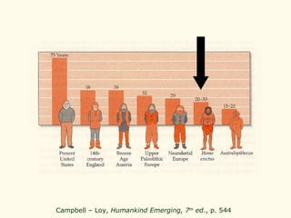 Campbell – Loy,  Humankind Emerging, 7 th  ed ., p. 544   