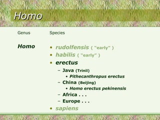 Homo Genus Homo Species rudolfensis  ( “early” ) habilis  ( “early” ) erectus Java  (Trinil) Pithecanthropus erectus China  (Beijing) Homo erectus pekinensis Africa . . .  Europe . . . sapiens 