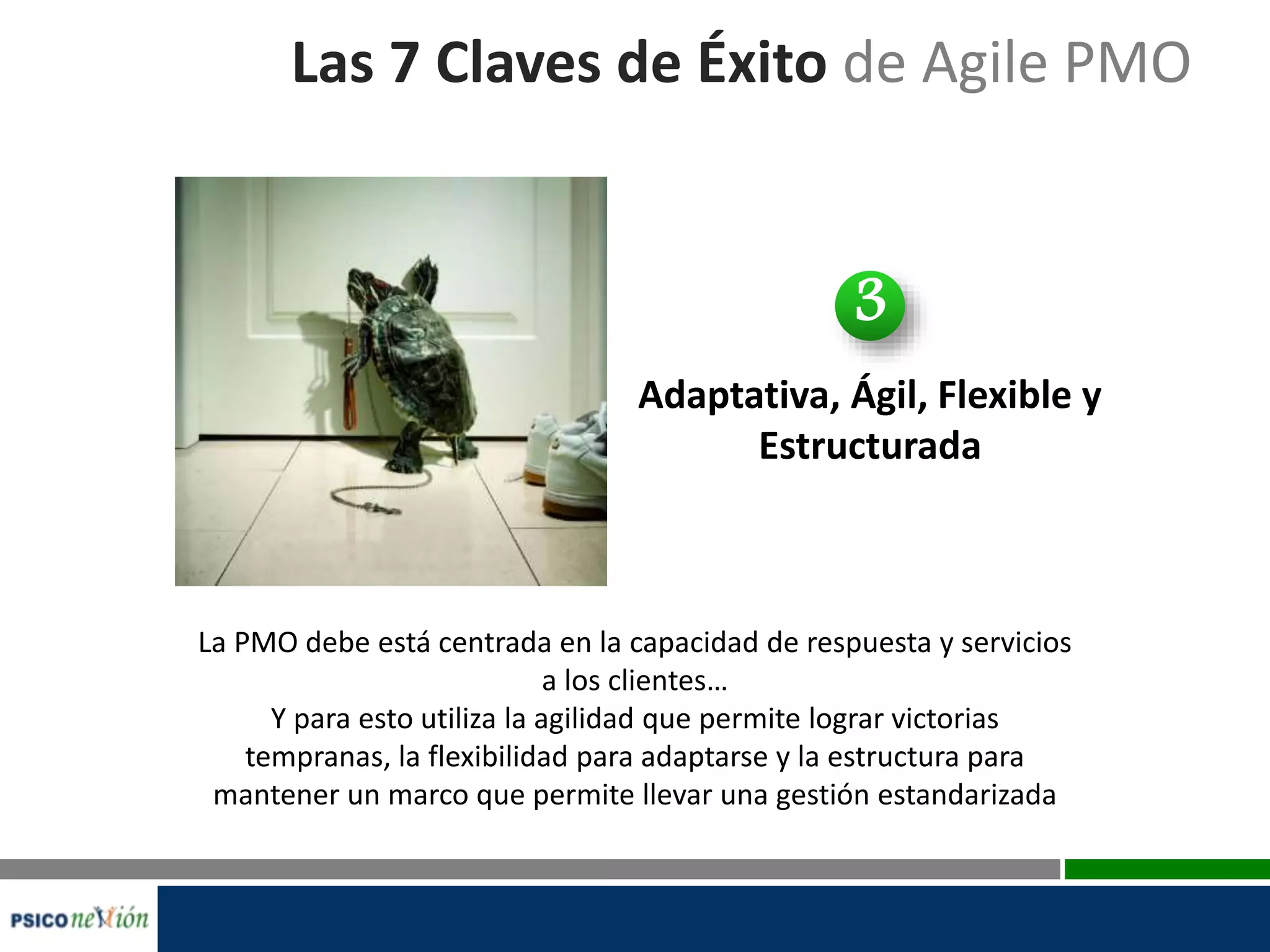 Las 7 Claves de Éxito de Agile PMO
Adaptativa, Ágil, Flexible y
Estructurada
La PMO debe está centrada en la capacidad de respuesta y servicios
a los clientes…
Y para esto utiliza la agilidad que permite lograr victorias
tempranas, la flexibilidad para adaptarse y la estructura para
mantener un marco que permite llevar una gestión estandarizada
3