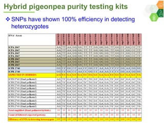 ICRISAT Governing Board 2019 PC meeting: Hybrid pigeonpea purity testing kits - by Dr Rachit K Saxena