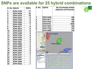 ICRISAT Governing Board 2019 PC meeting: Hybrid pigeonpea purity testing kits - by Dr Rachit K Saxena