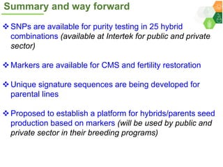 ICRISAT Governing Board 2019 PC meeting: Hybrid pigeonpea purity testing kits - by Dr Rachit K Saxena