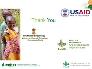 ICRISAT Governing Board 2019 PC meeting: Hybrid pigeonpea purity testing kits - by Dr Rachit K Saxena