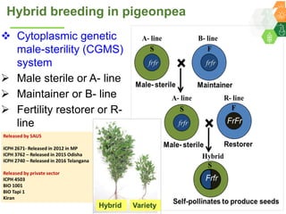 ICRISAT Governing Board 2019 PC meeting: Hybrid pigeonpea purity testing kits - by Dr Rachit K Saxena