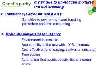 ICRISAT Governing Board 2019 PC meeting: Hybrid pigeonpea purity testing kits - by Dr Rachit K Saxena