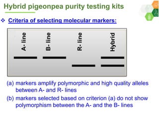 ICRISAT Governing Board 2019 PC meeting: Hybrid pigeonpea purity testing kits - by Dr Rachit K Saxena